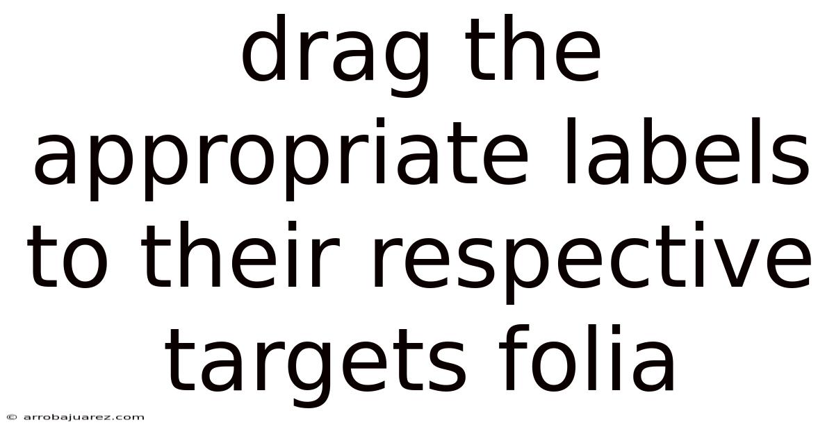 Drag The Appropriate Labels To Their Respective Targets Folia