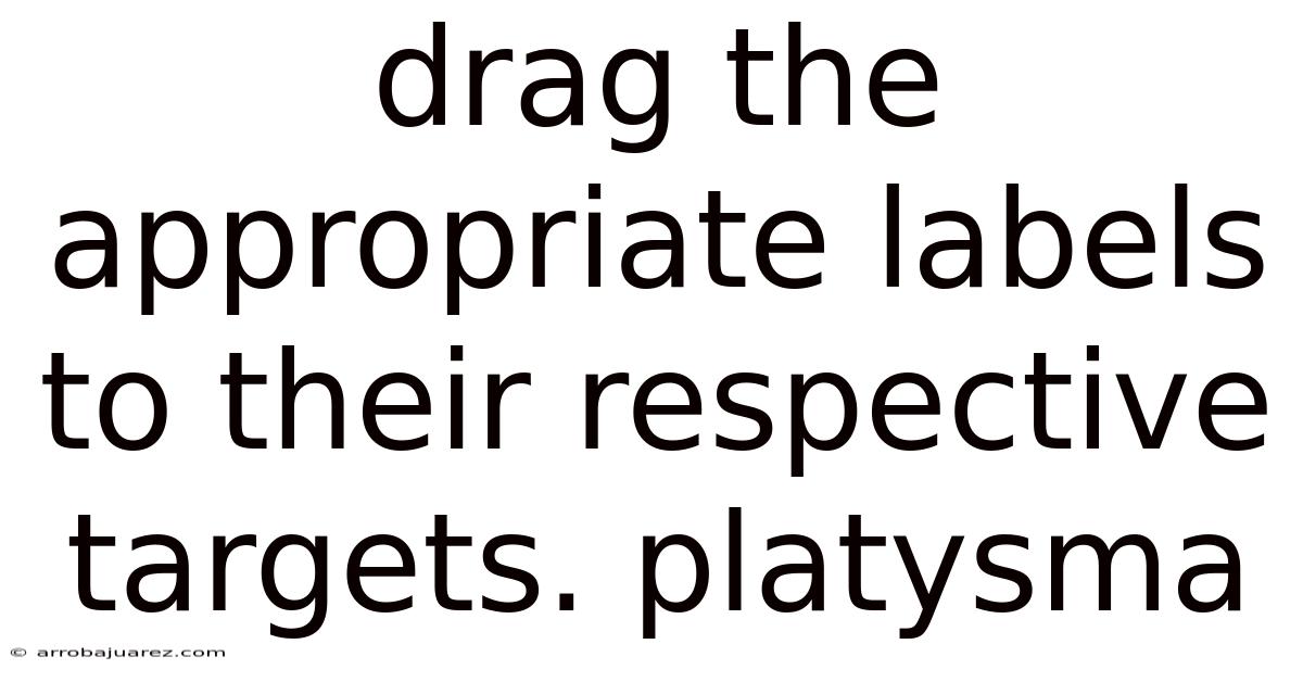 Drag The Appropriate Labels To Their Respective Targets. Platysma