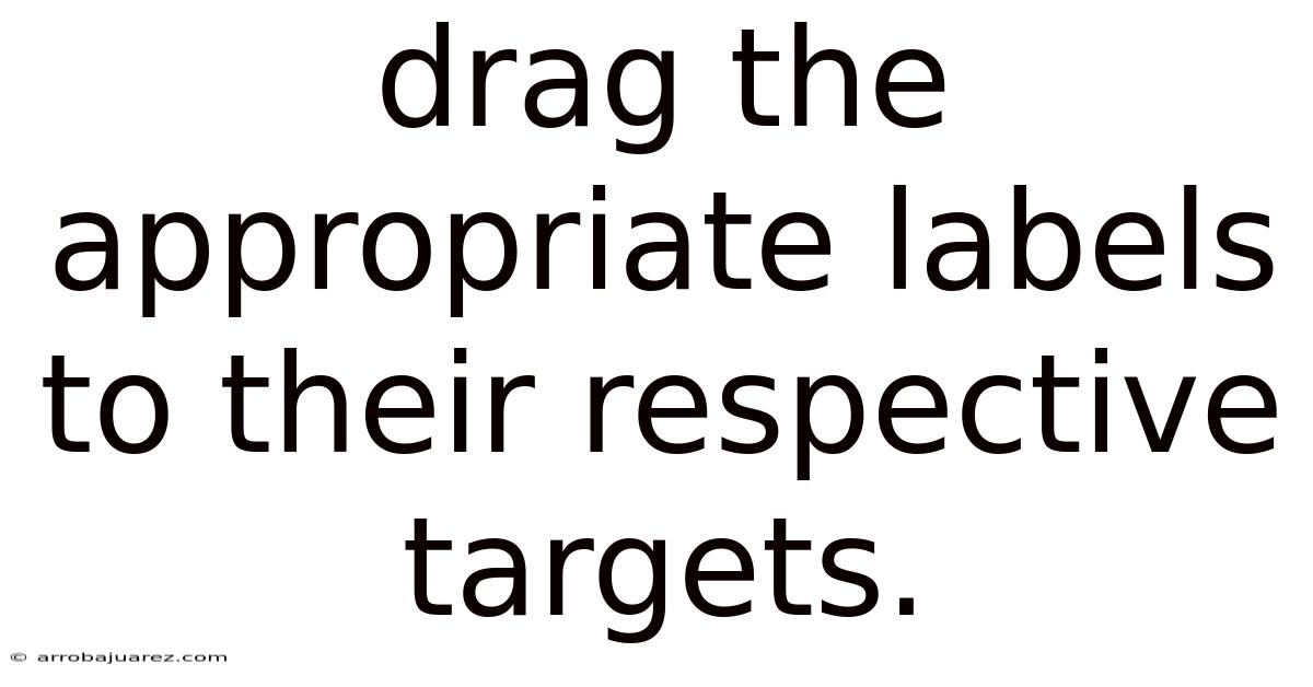Drag The Appropriate Labels To Their Respective Targets.