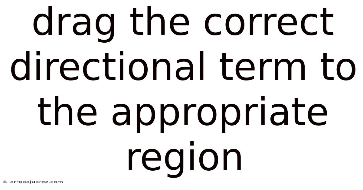 Drag The Correct Directional Term To The Appropriate Region
