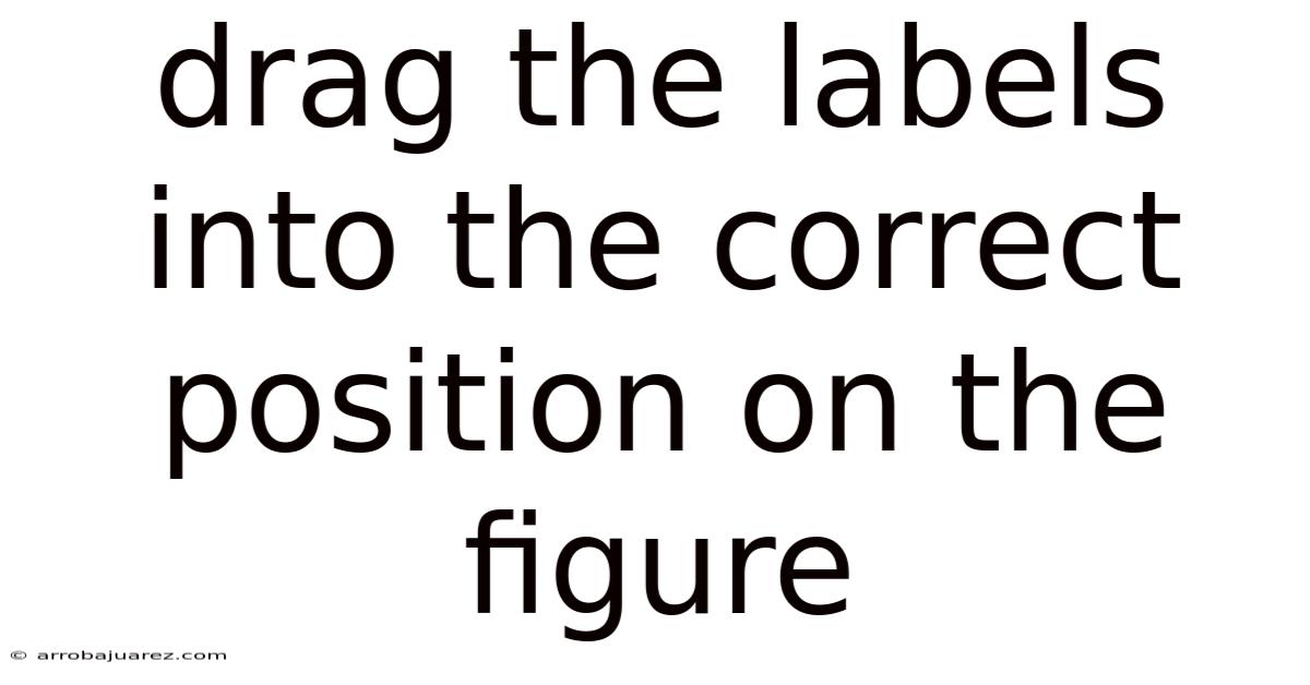 Drag The Labels Into The Correct Position On The Figure