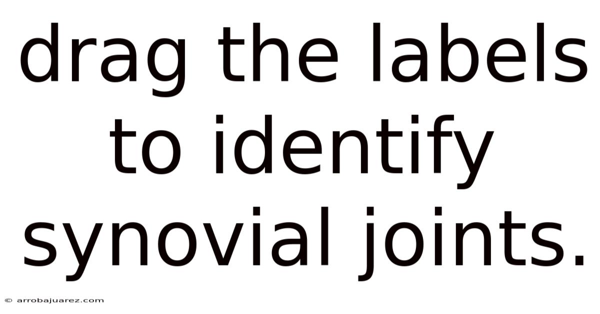 Drag The Labels To Identify Synovial Joints.