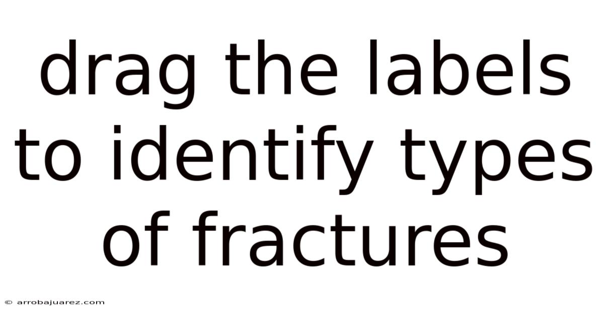 Drag The Labels To Identify Types Of Fractures