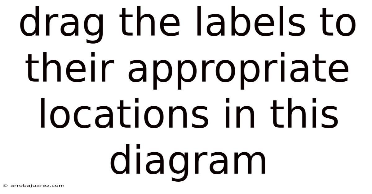 Drag The Labels To Their Appropriate Locations In This Diagram