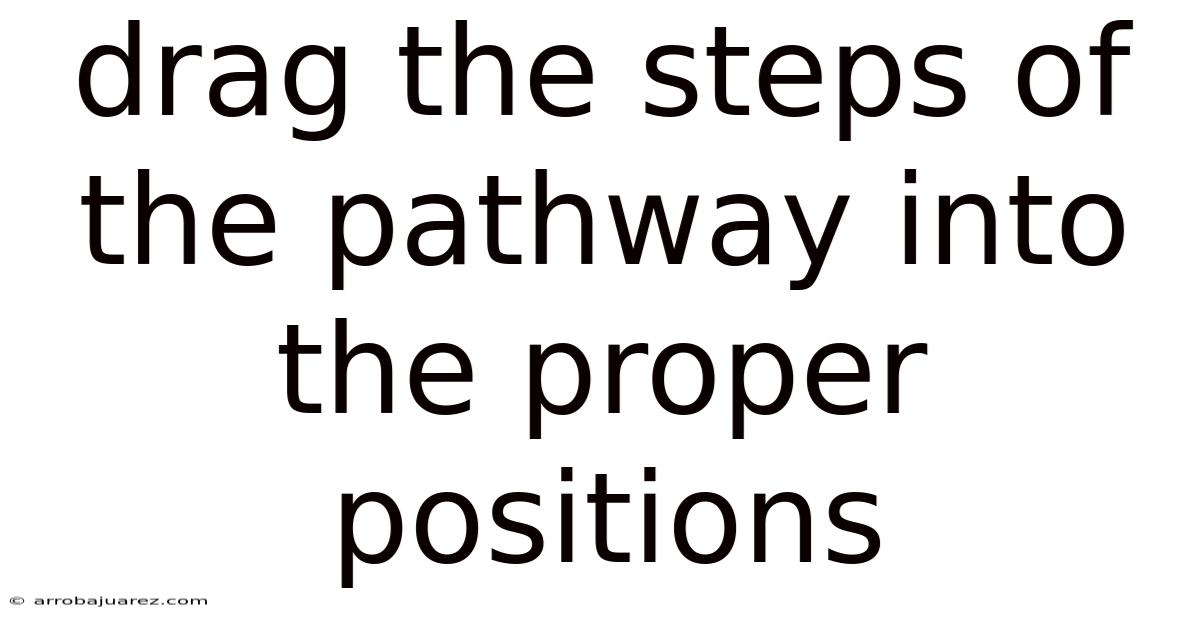Drag The Steps Of The Pathway Into The Proper Positions