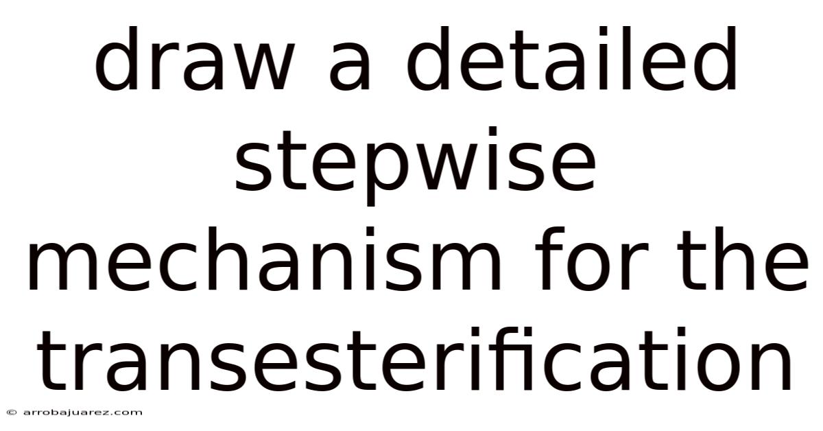 Draw A Detailed Stepwise Mechanism For The Transesterification