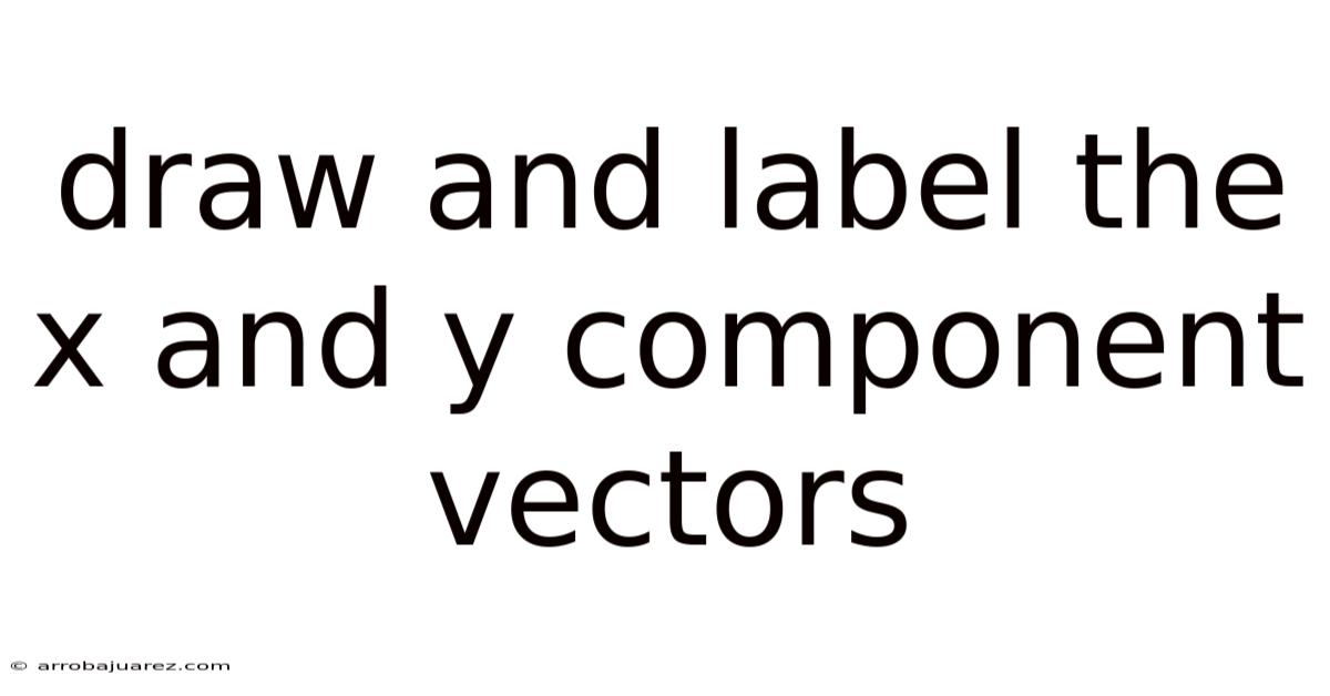 Draw And Label The X And Y Component Vectors