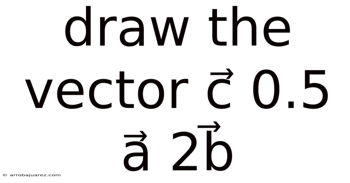 Draw The Vector C⃗ 0.5 A⃗ 2b⃗