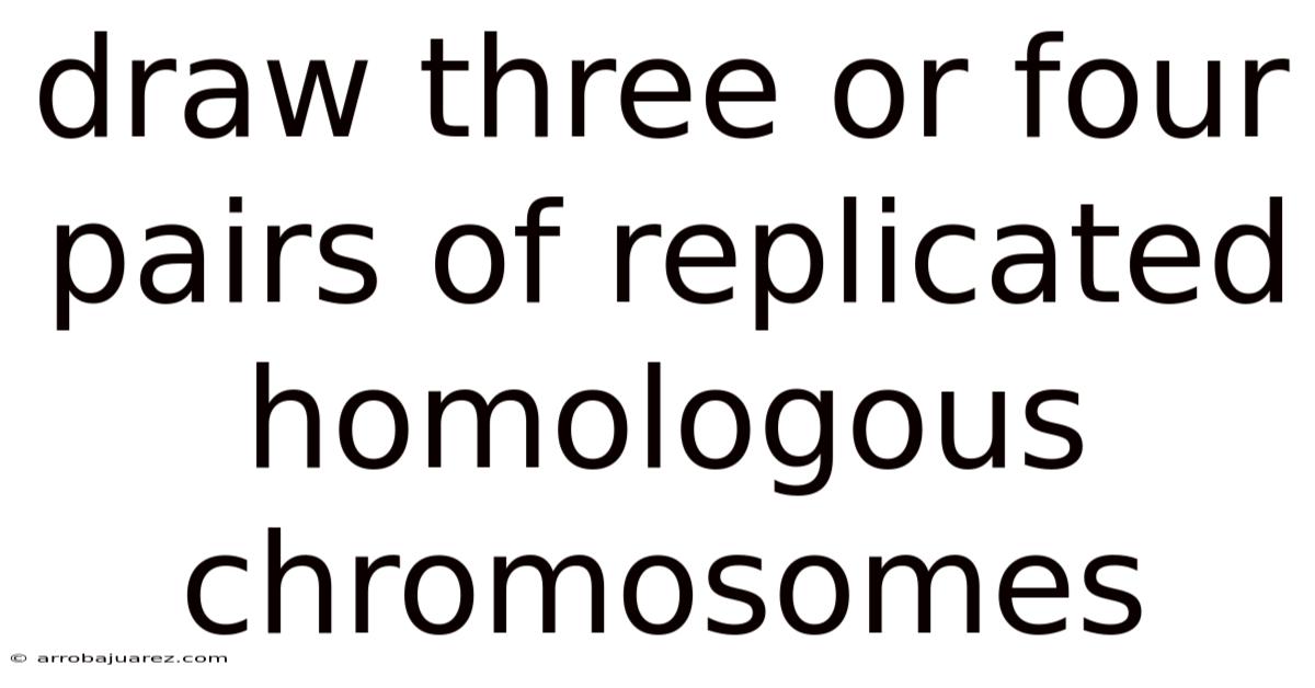 Draw Three Or Four Pairs Of Replicated Homologous Chromosomes