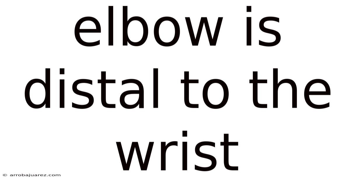 Elbow Is Distal To The Wrist