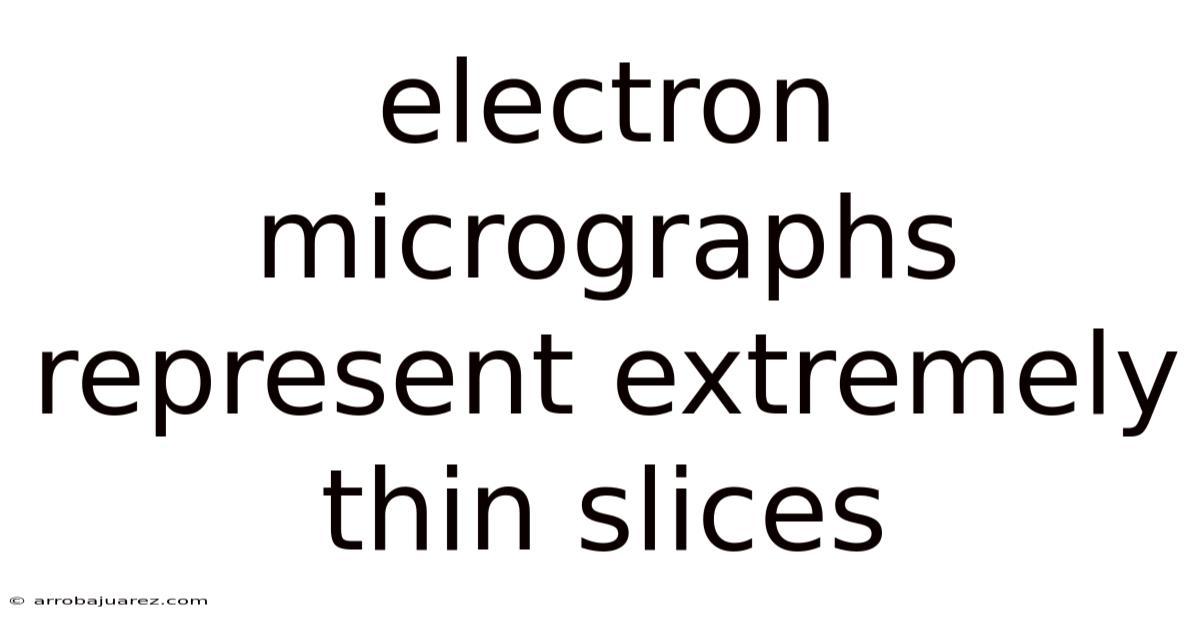 Electron Micrographs Represent Extremely Thin Slices