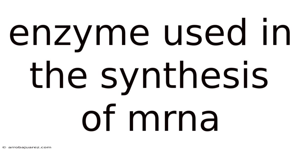 Enzyme Used In The Synthesis Of Mrna
