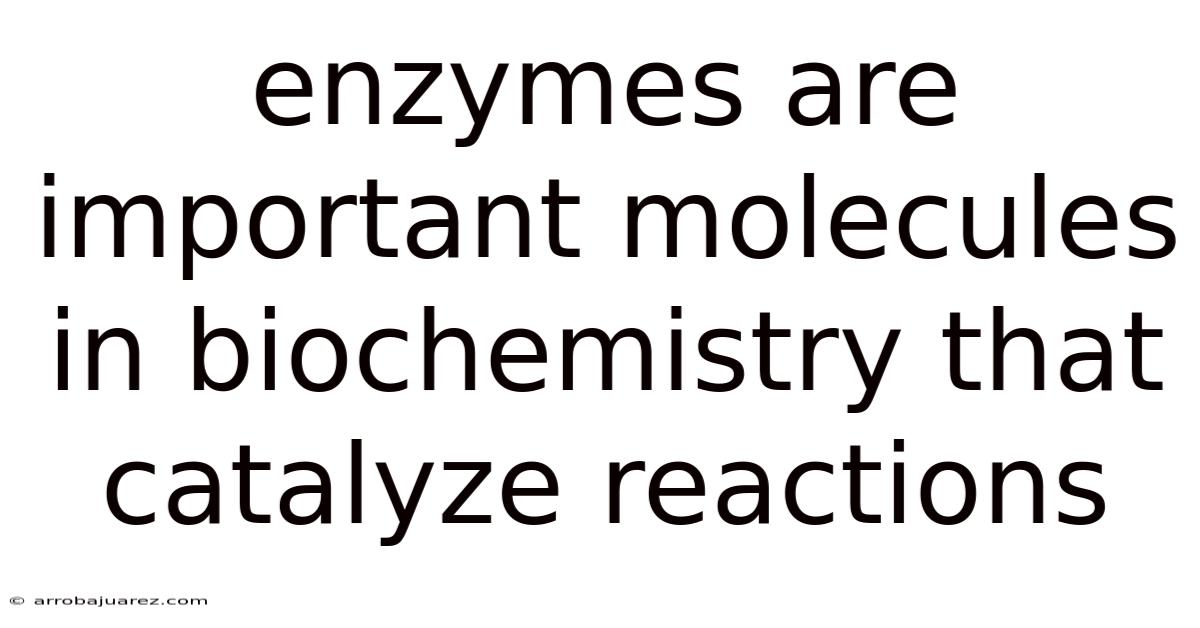 Enzymes Are Important Molecules In Biochemistry That Catalyze Reactions