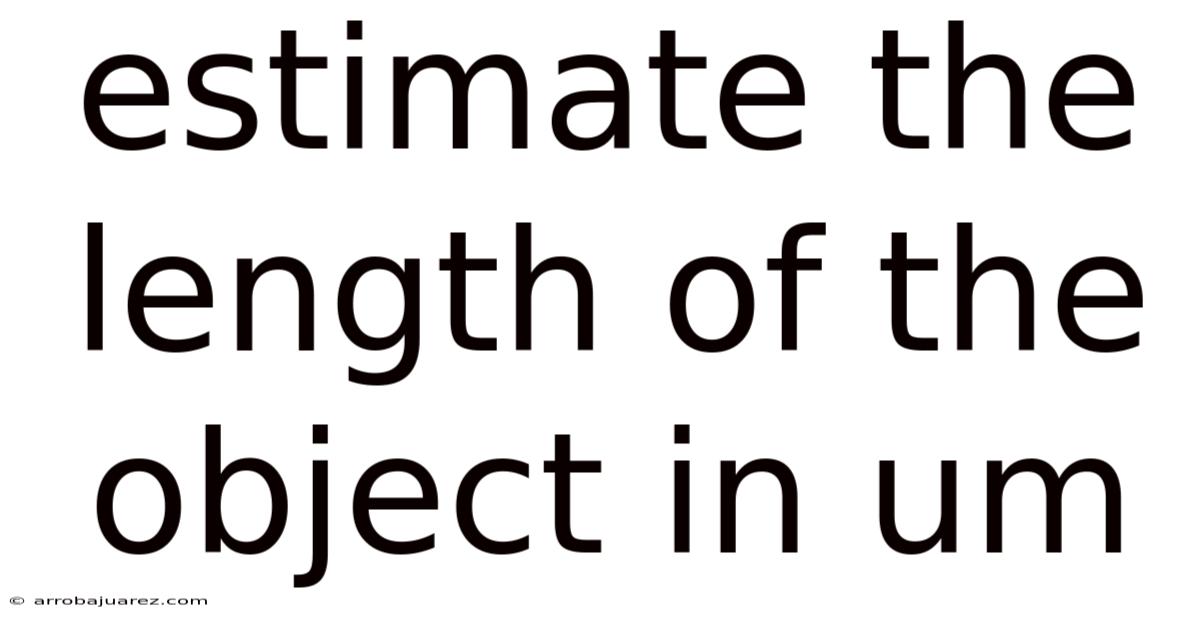 Estimate The Length Of The Object In Um