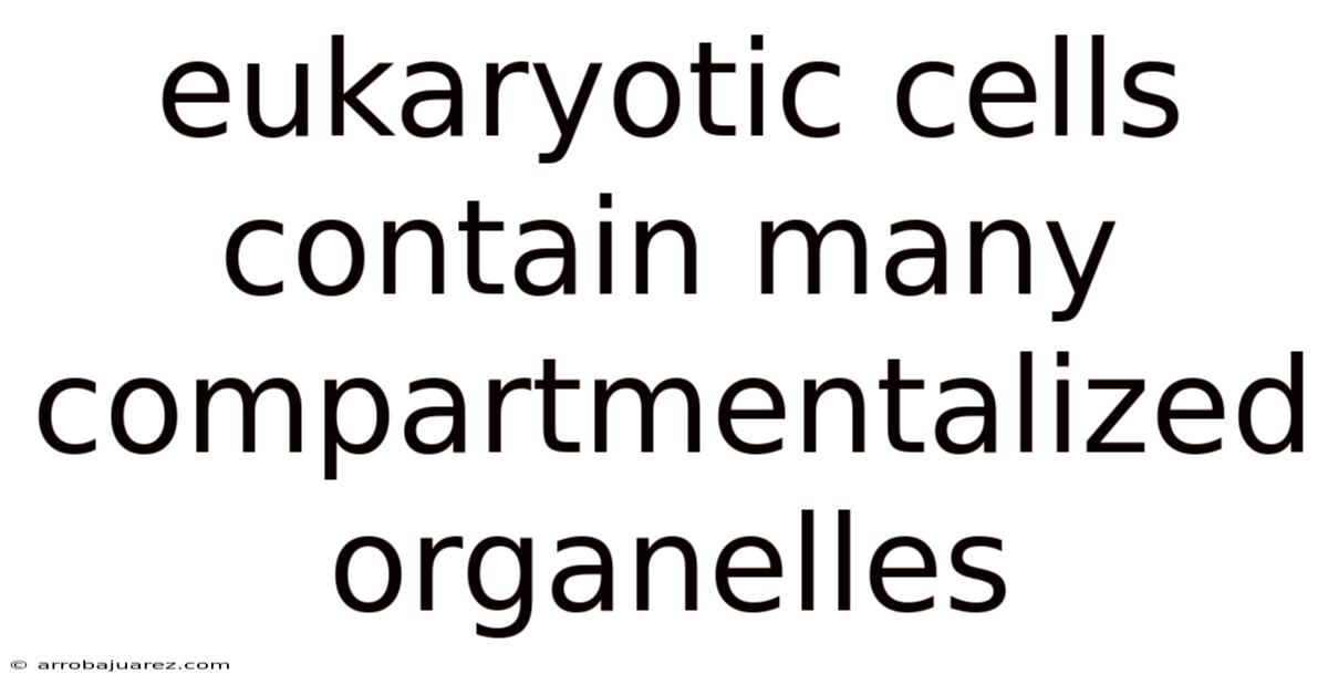 Eukaryotic Cells Contain Many Compartmentalized Organelles