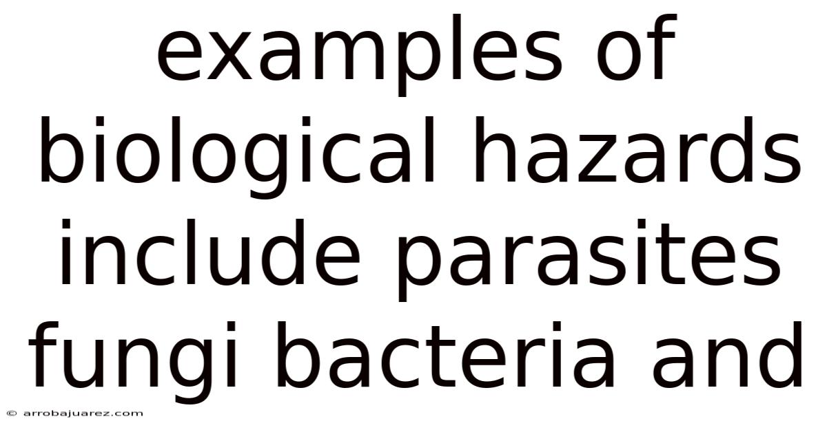 Examples Of Biological Hazards Include Parasites Fungi Bacteria And