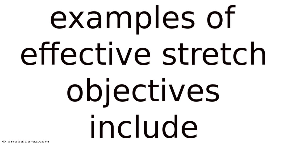 Examples Of Effective Stretch Objectives Include