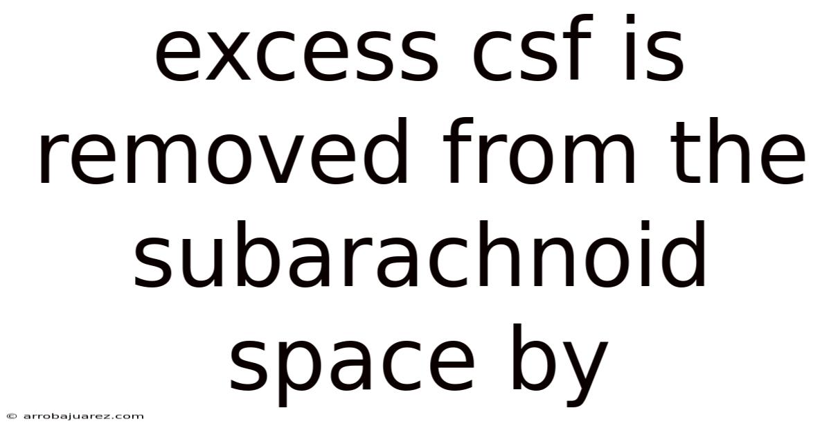 Excess Csf Is Removed From The Subarachnoid Space By