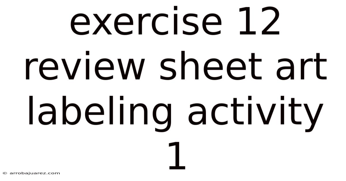 Exercise 12 Review Sheet Art Labeling Activity 1