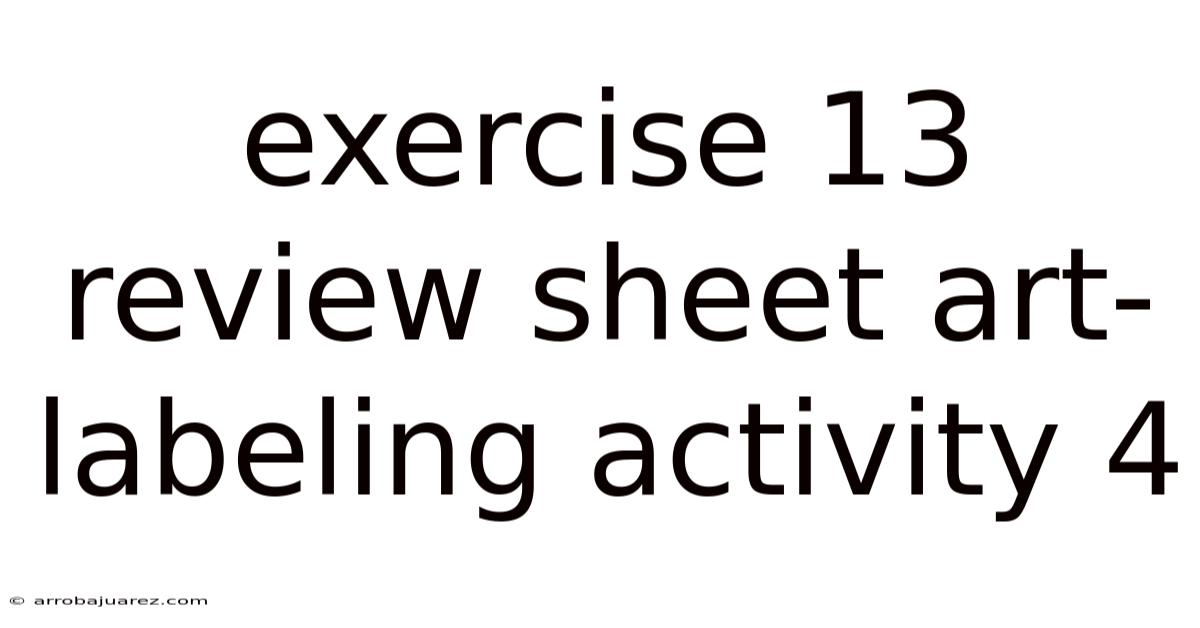 Exercise 13 Review Sheet Art-labeling Activity 4