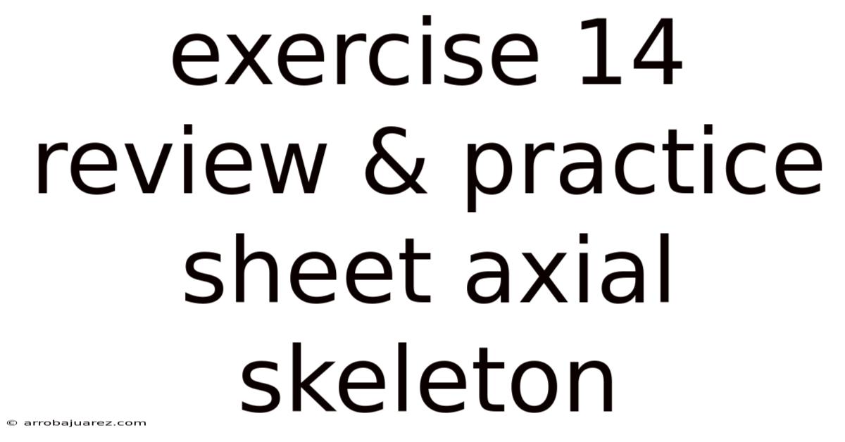 Exercise 14 Review & Practice Sheet Axial Skeleton
