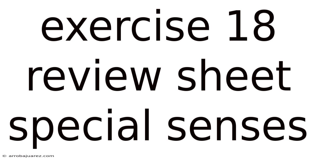 Exercise 18 Review Sheet Special Senses