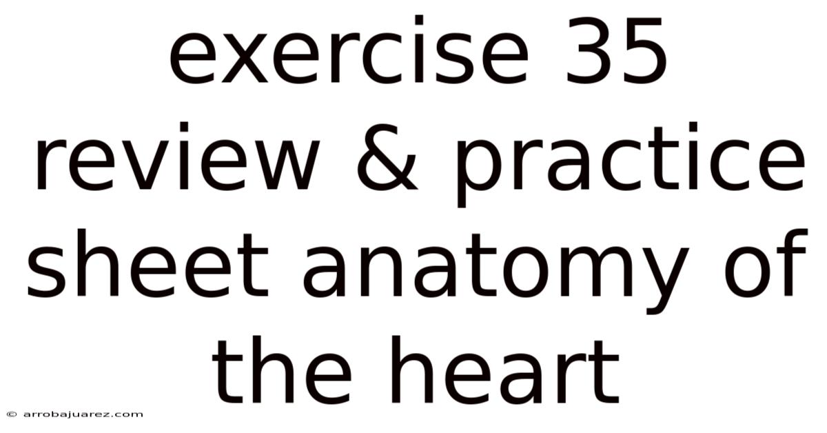 Exercise 35 Review & Practice Sheet Anatomy Of The Heart