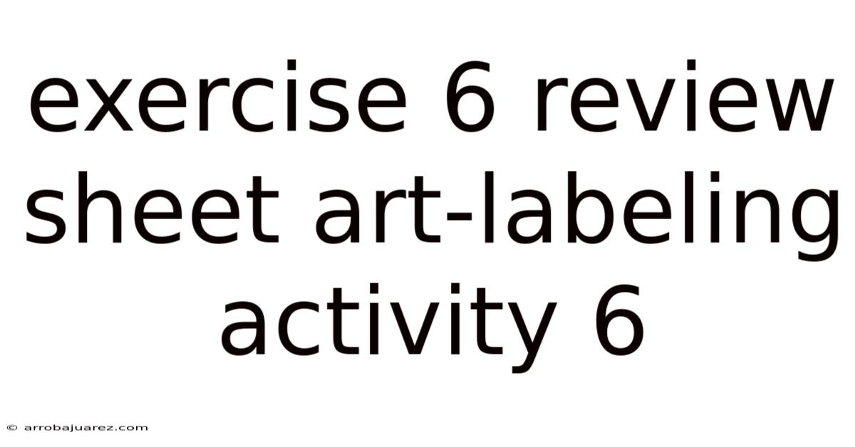 Exercise 6 Review Sheet Art-labeling Activity 6