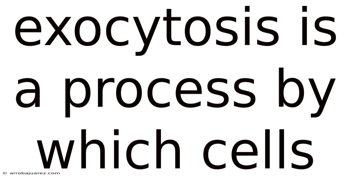 Exocytosis Is A Process By Which Cells