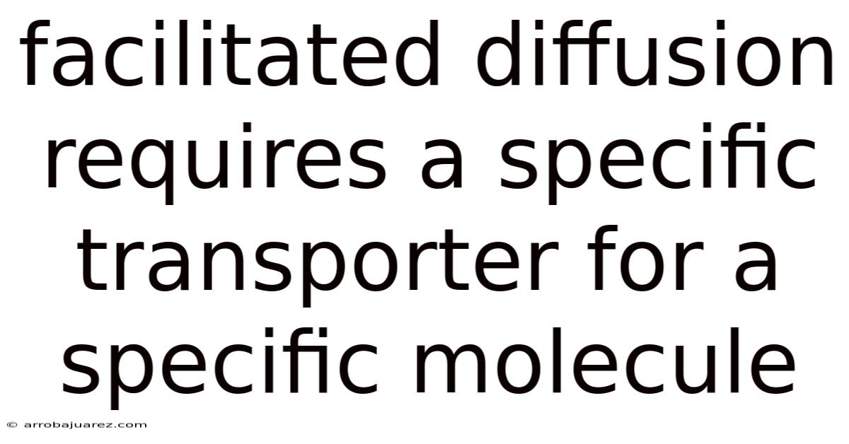 Facilitated Diffusion Requires A Specific Transporter For A Specific Molecule