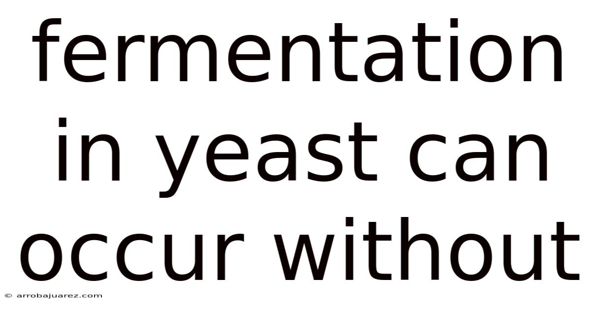 Fermentation In Yeast Can Occur Without