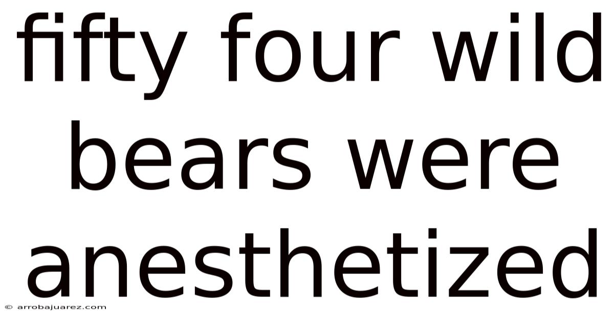 Fifty Four Wild Bears Were Anesthetized