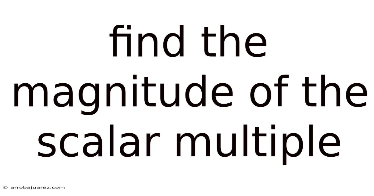 Find The Magnitude Of The Scalar Multiple