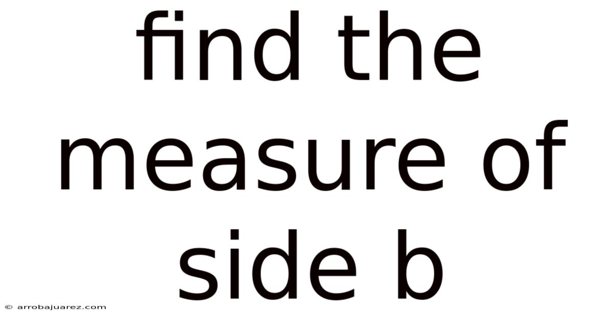 Find The Measure Of Side B
