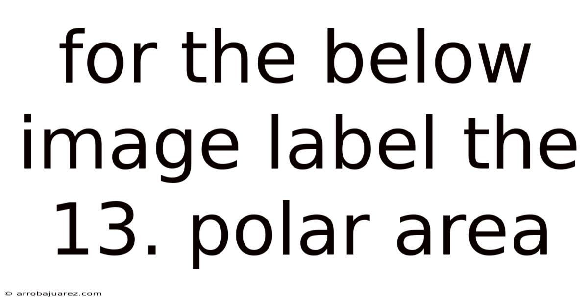 For The Below Image Label The 13. Polar Area