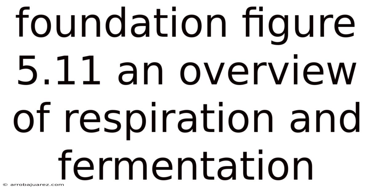 Foundation Figure 5.11 An Overview Of Respiration And Fermentation