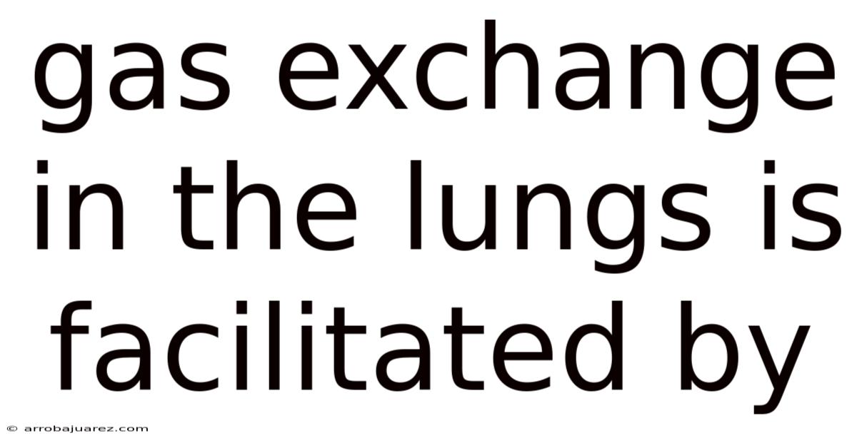 Gas Exchange In The Lungs Is Facilitated By