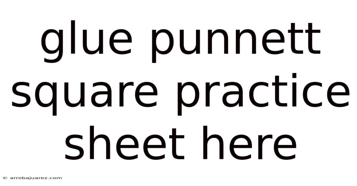 Glue Punnett Square Practice Sheet Here