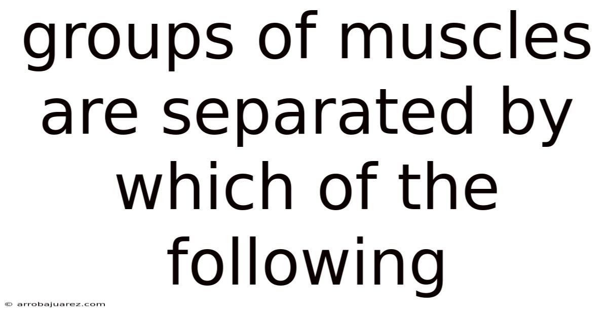 Groups Of Muscles Are Separated By Which Of The Following