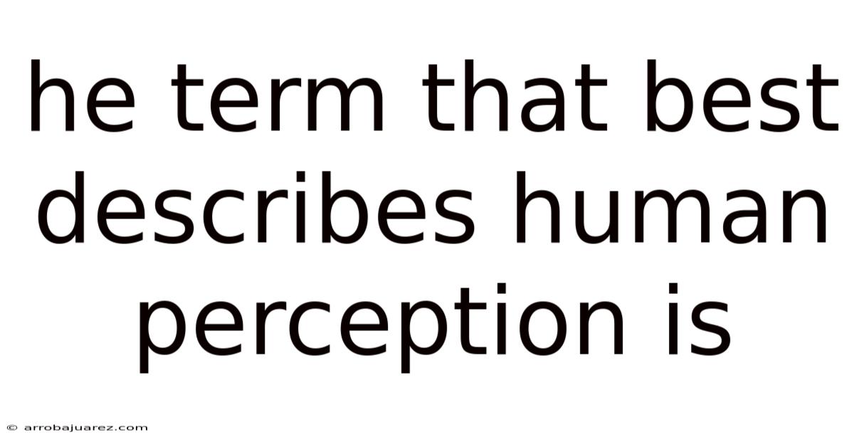 He Term That Best Describes Human Perception Is