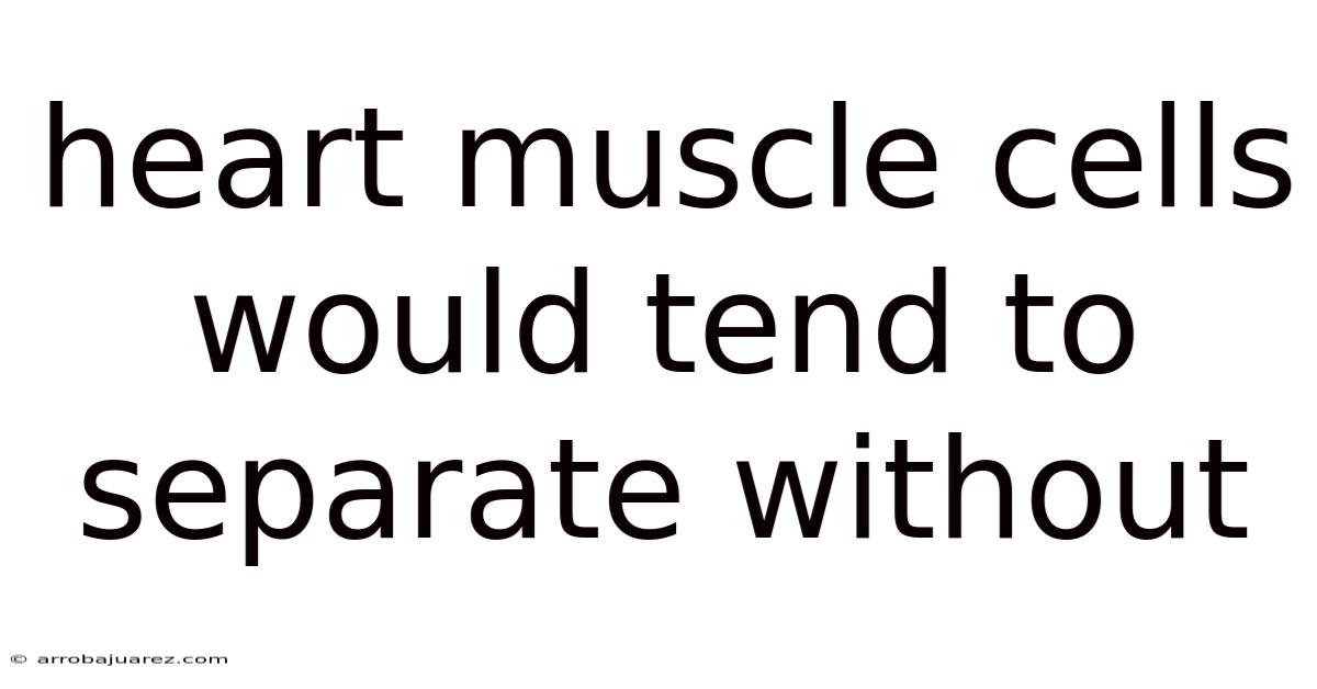 Heart Muscle Cells Would Tend To Separate Without