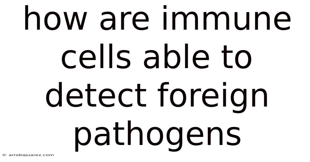 How Are Immune Cells Able To Detect Foreign Pathogens