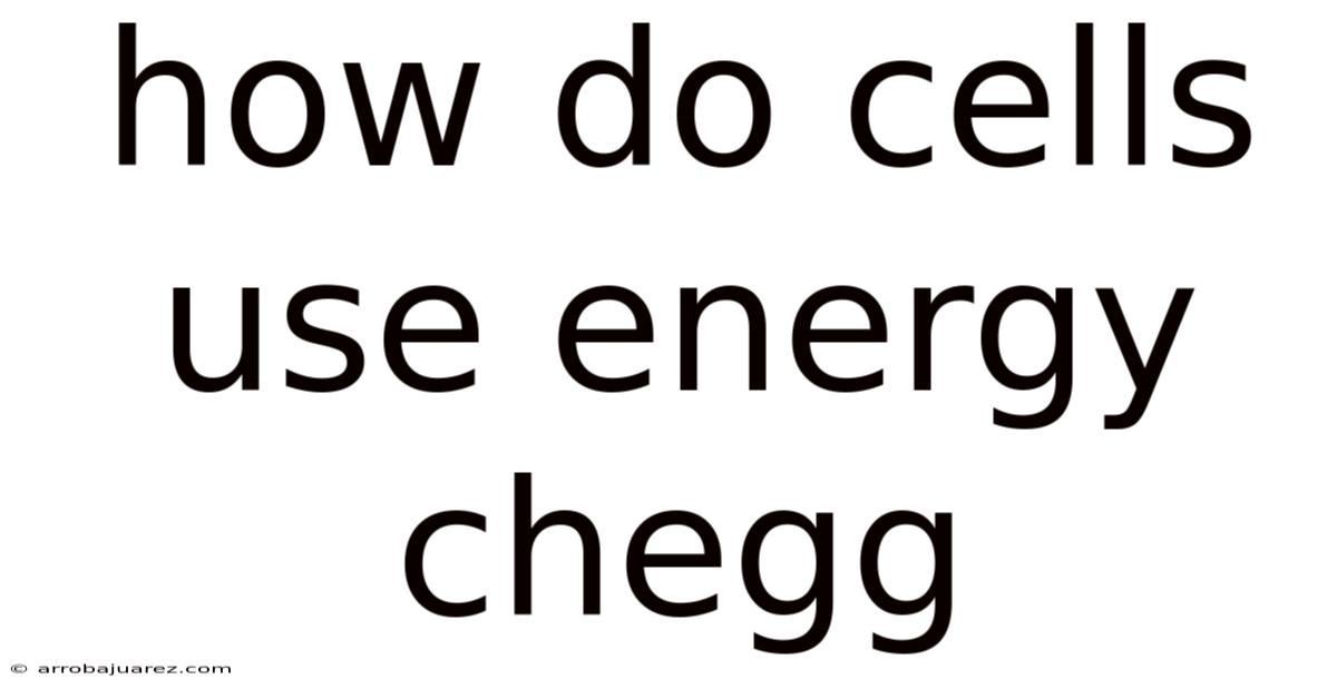 How Do Cells Use Energy Chegg
