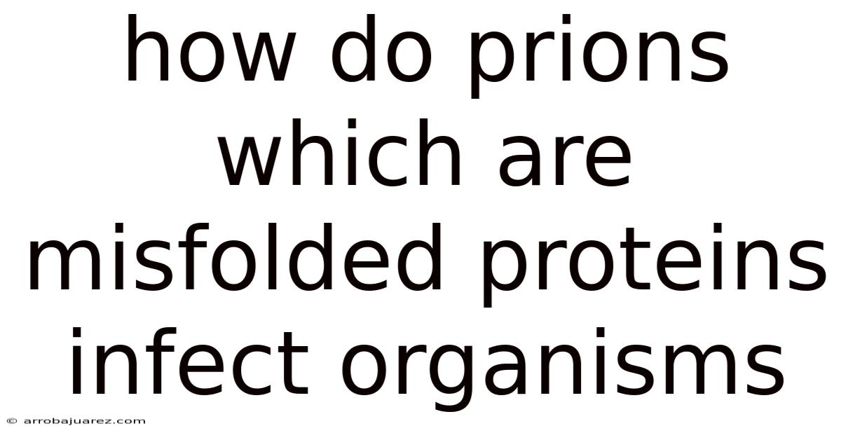How Do Prions Which Are Misfolded Proteins Infect Organisms