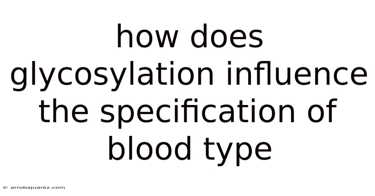 How Does Glycosylation Influence The Specification Of Blood Type