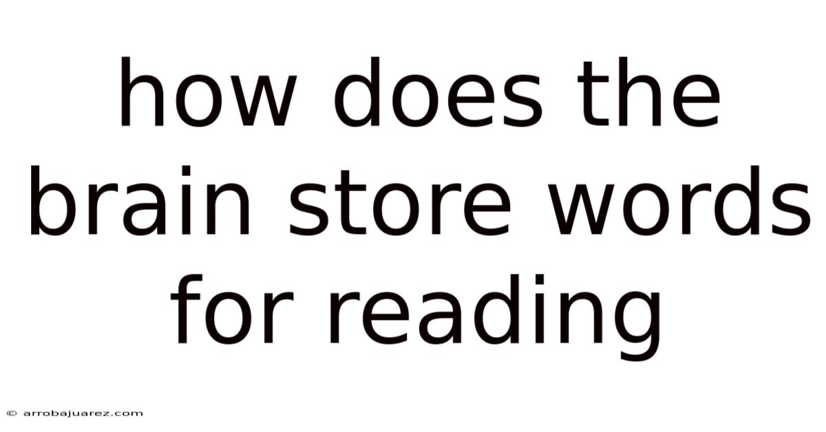 How Does The Brain Store Words For Reading