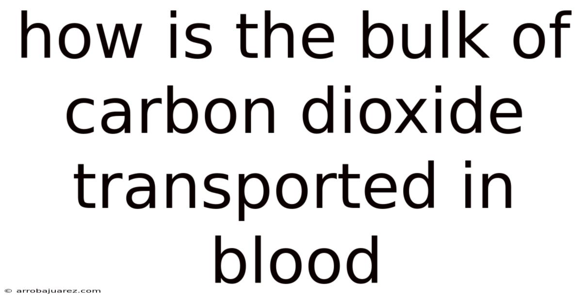 How Is The Bulk Of Carbon Dioxide Transported In Blood