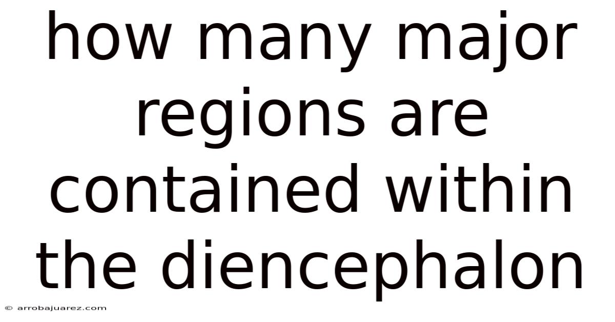 How Many Major Regions Are Contained Within The Diencephalon