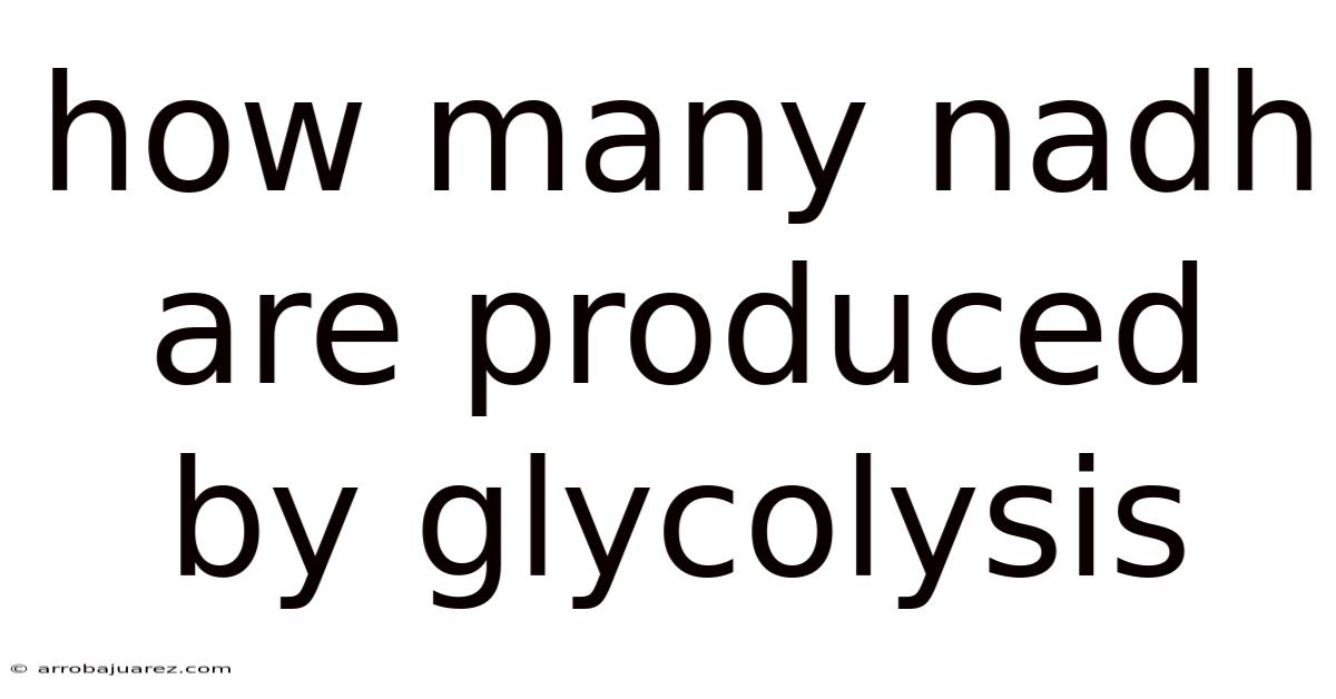 How Many Nadh Are Produced By Glycolysis