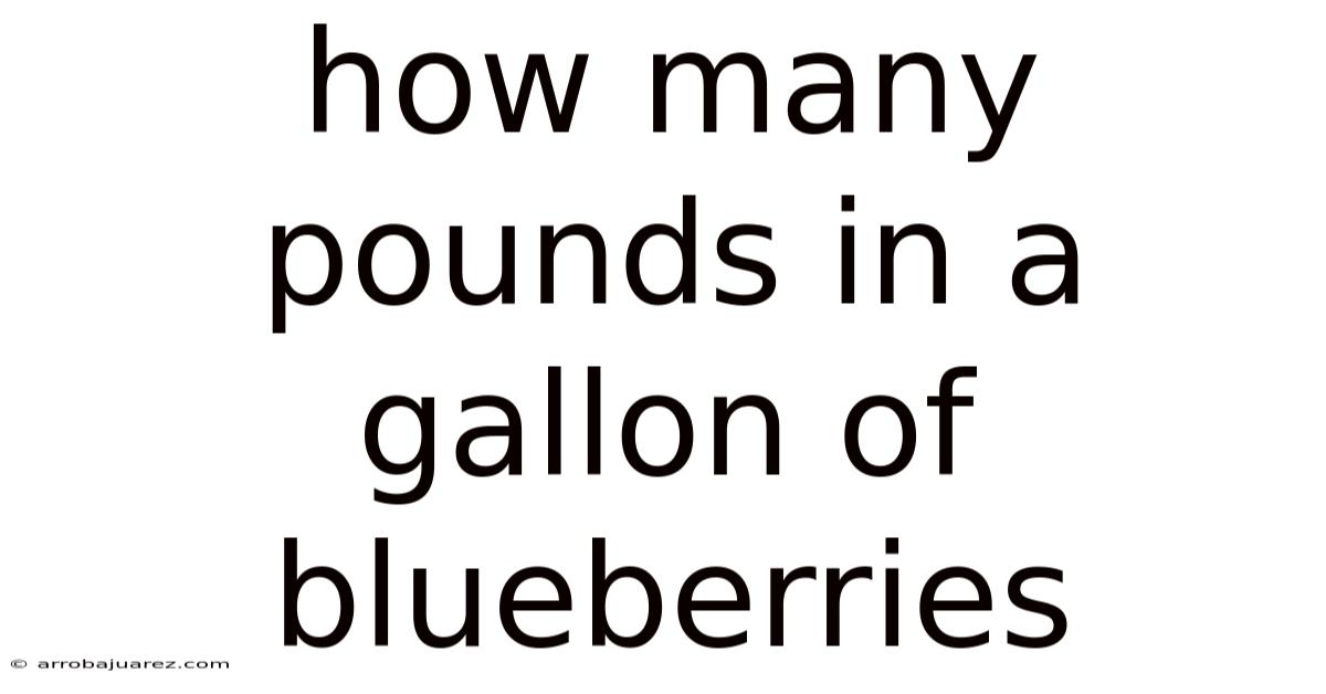 How Many Pounds In A Gallon Of Blueberries